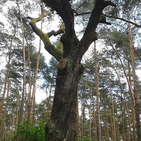 U Kostela Veselí nad Moravou