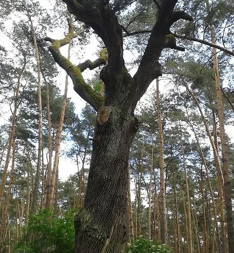 U Kostela Veselí nad Moravou